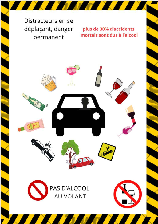 Image 25 : Affiche equipe Maelys - Lycee LaSalle